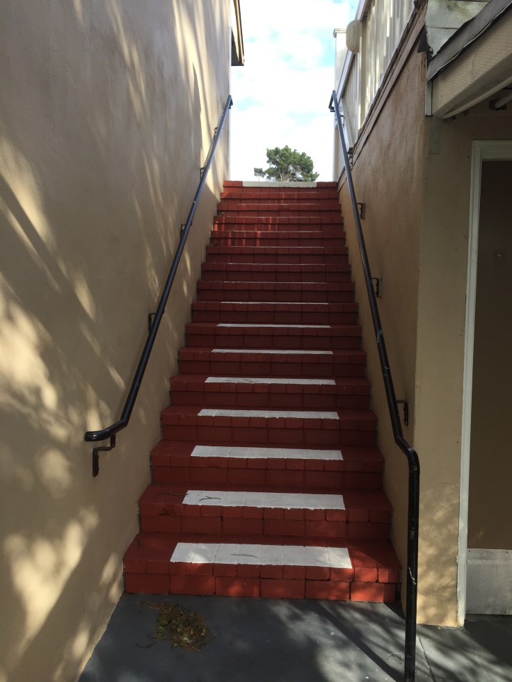 2017-05-06 17.33.19-1