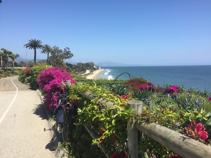 2017-05-11 14.43.34.jpg